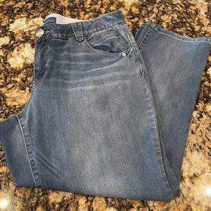 Democracy Blue Ab Solution Jeans Size 16W